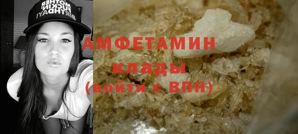 молекула духа Вязьма
