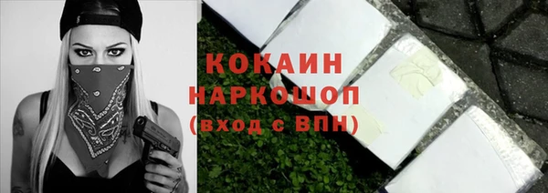 молекула духа Вязьма