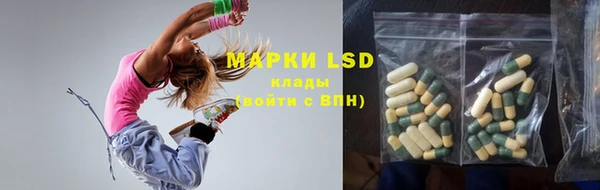 стаф Горняк