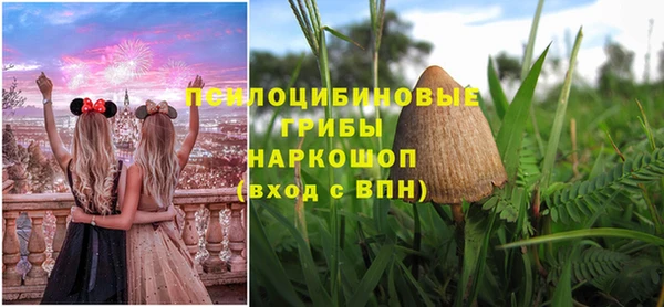 а пвп мука Вяземский